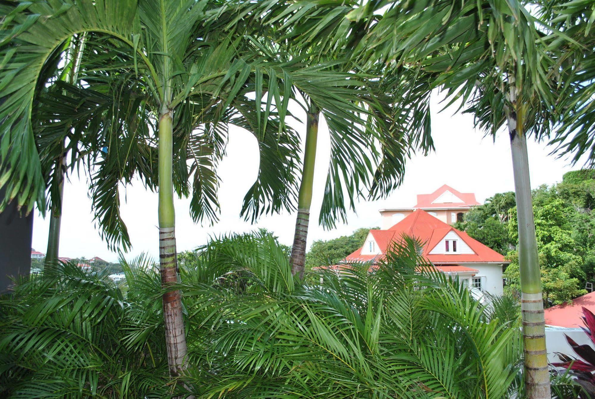Reve De St. Barth Aparthotel Gustavia Exterior photo